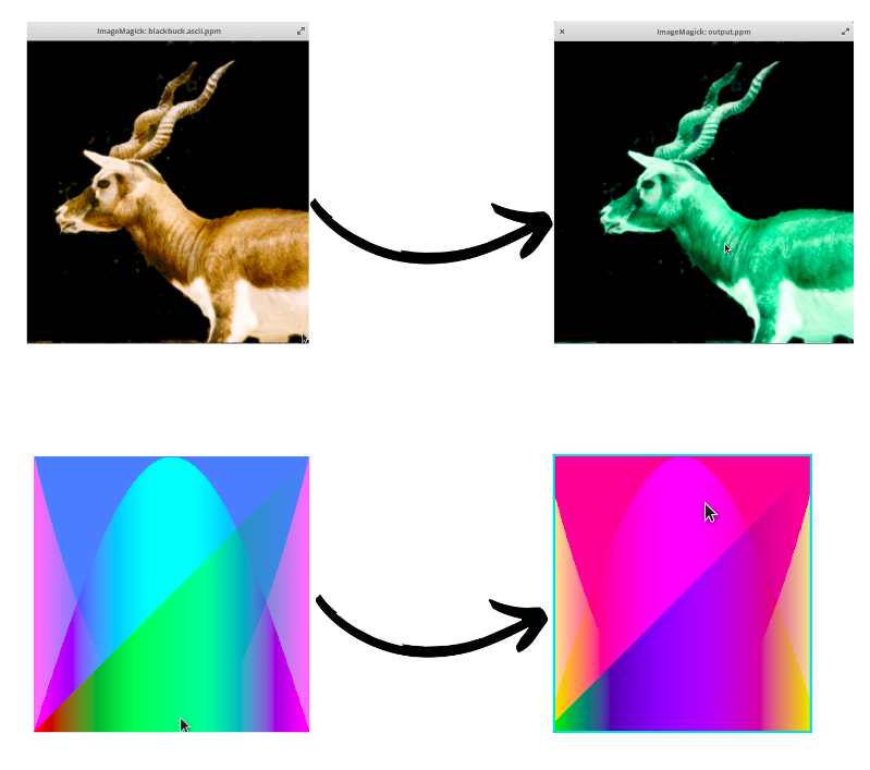 Image Modifier